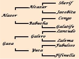 pedigree de Guajaraz
