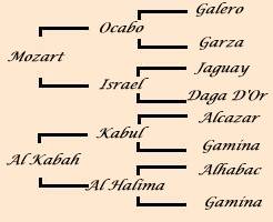 pedigree de Nahida